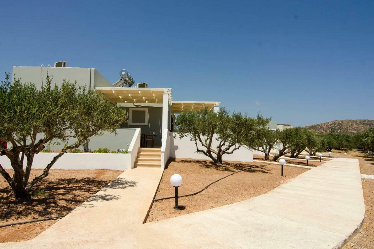 Giorgos Villa 古卡斯特隆 外观 照片